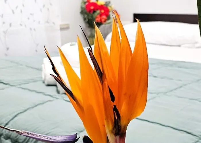 Dolce Titina