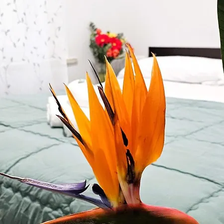 Dolce Titina